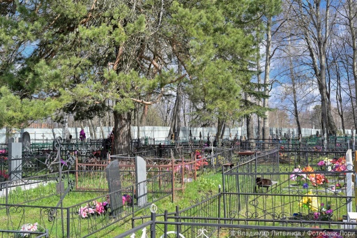 2 миллиона рублей потратят на спил деревьев на нижегородских кладбищах
